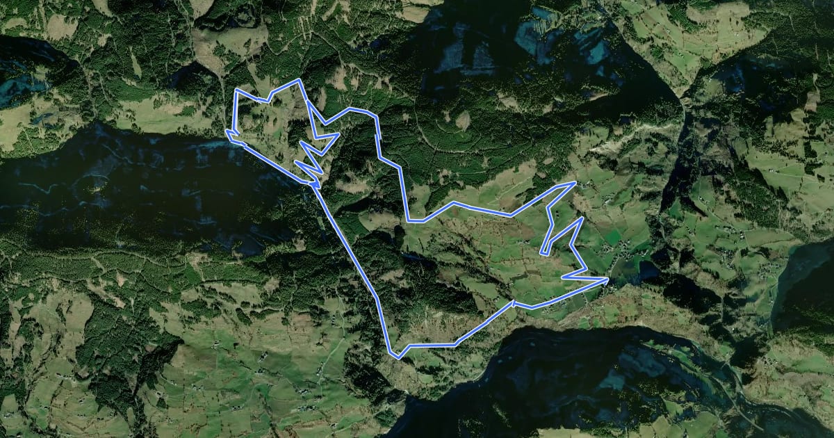 Маршрут Wanderweg 9 (Ziegelhüttenrundweg) на спутниковом снимке