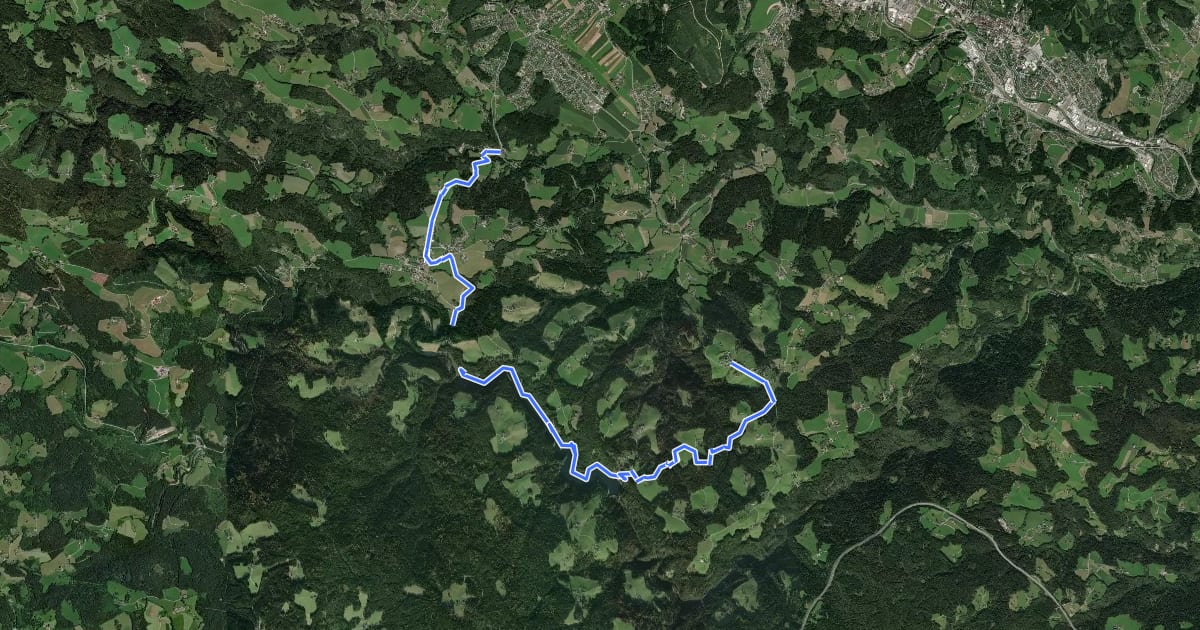 Маршрут Wanderweg 91 на спутниковом снимке