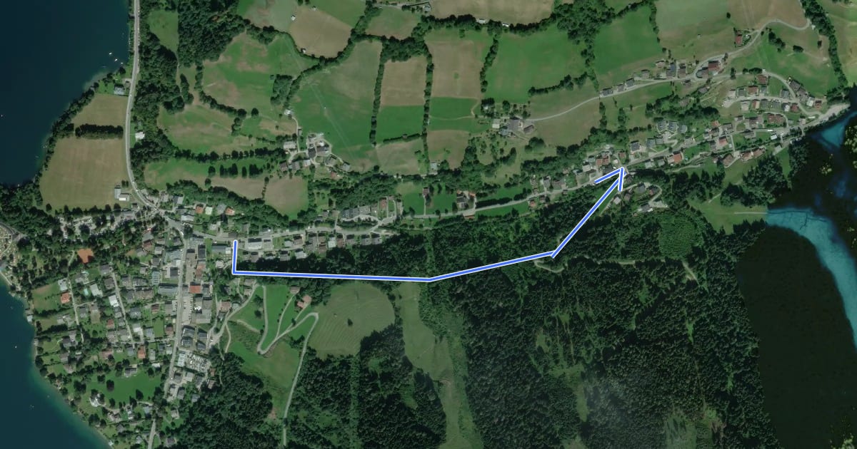 Маршрут Wanderweg 91 (Waldpromenade) на спутниковом снимке
