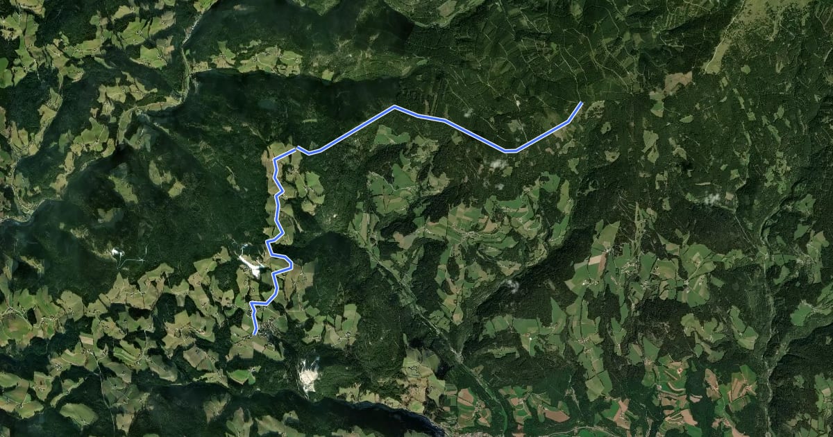 Маршрут Wanderweg 914 на спутниковом снимке