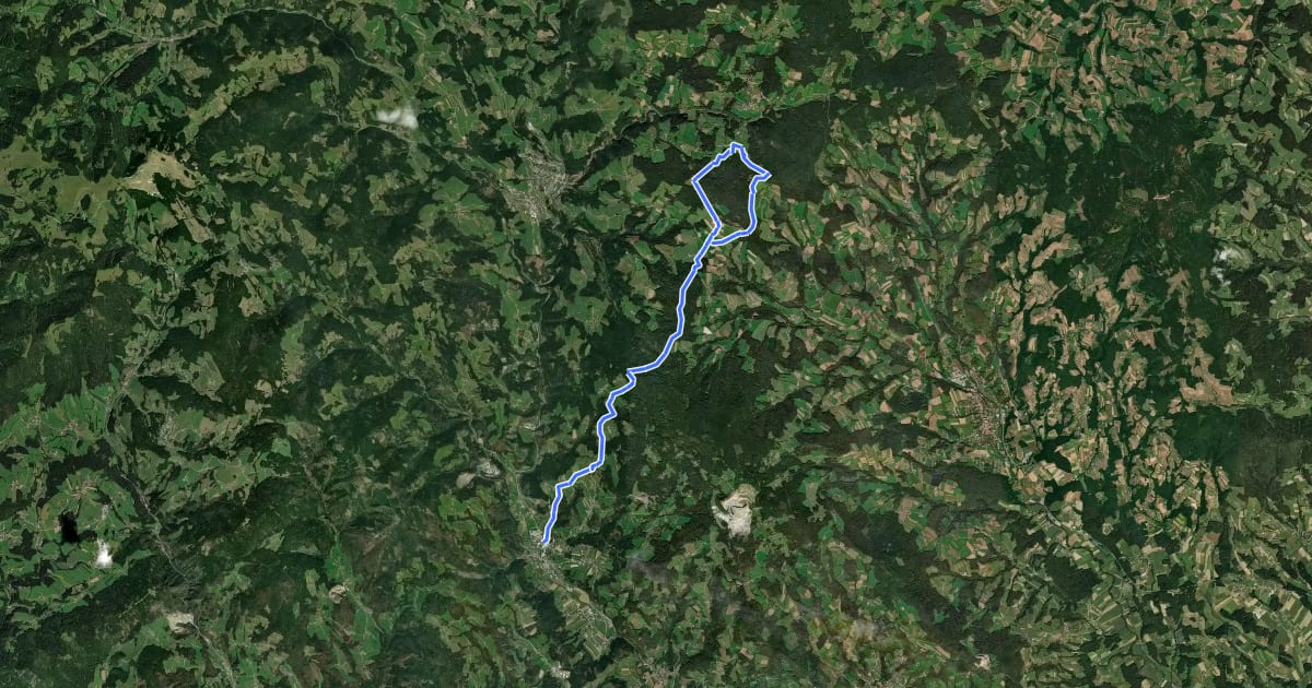 Маршрут Wanderweg 921 на спутниковом снимке