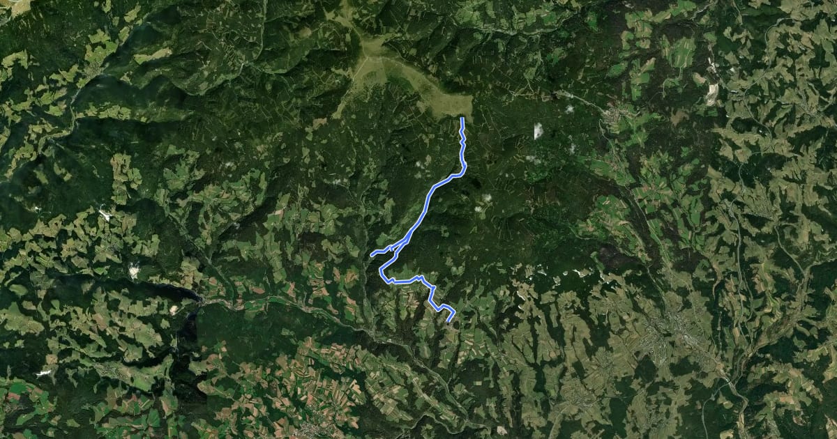Маршрут Wanderweg 925 на спутниковом снимке