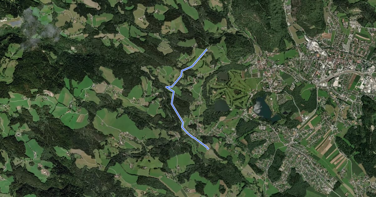 Маршрут Wanderweg 98 на спутниковом снимке