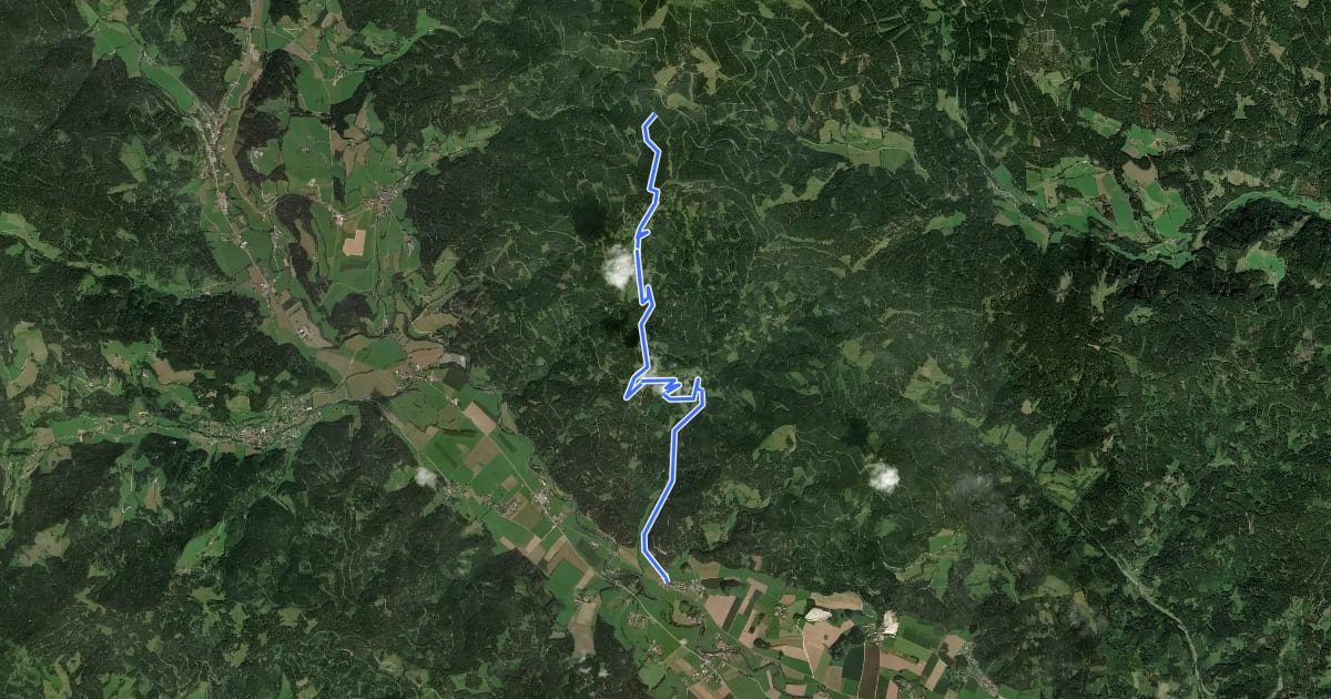 Маршрут Wanderweg 994 на спутниковом снимке