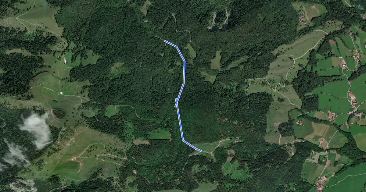 Маршрут Wanderweg 9a - Brannenburg на спутниковом снимке