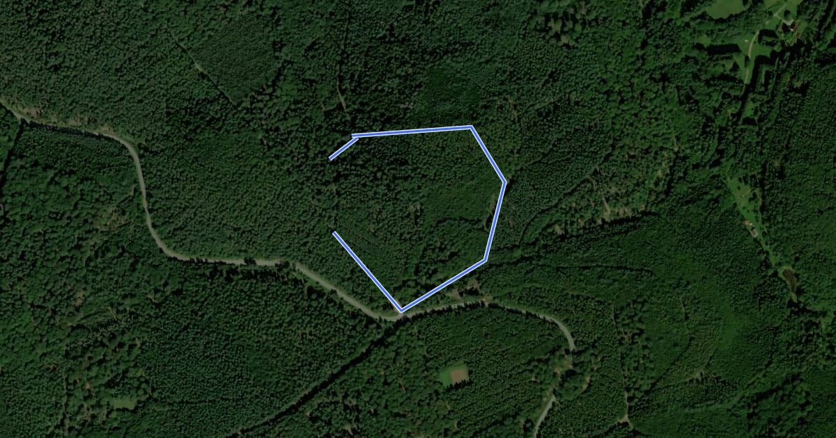 Маршрут Wanderweg Am Hirschsprung 1 на спутниковом снимке