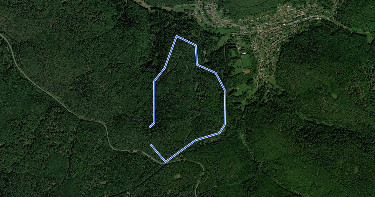 Маршрут Wanderweg Am Hirschsprung 5 на спутниковом снимке