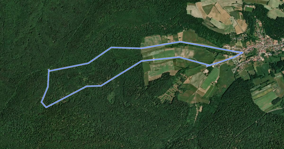 Маршрут Wanderweg Aurachquelle на спутниковом снимке
