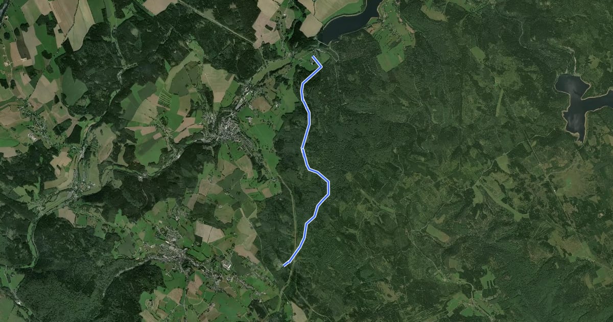 Маршрут Wanderweg Bad Einsiedel - Rauschenbach на спутниковом снимке