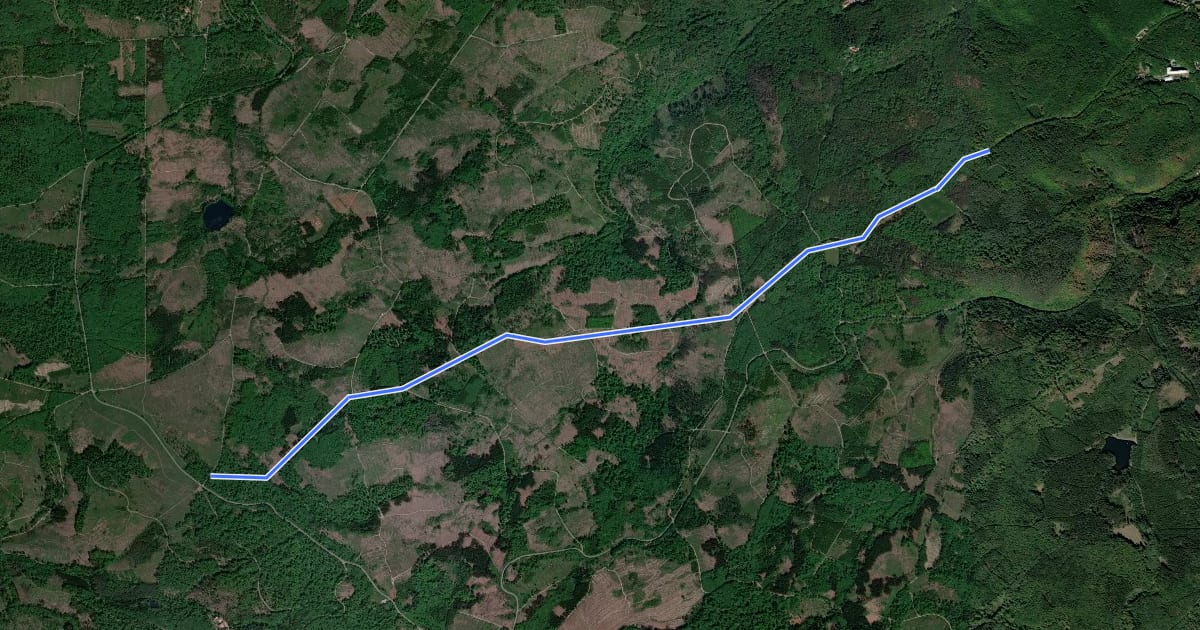 Маршрут Wanderweg Bad Suderode Friedrichsbrunn-Schirmbuche Rote Steiger (rotes Quadrat) на спутниковом снимке