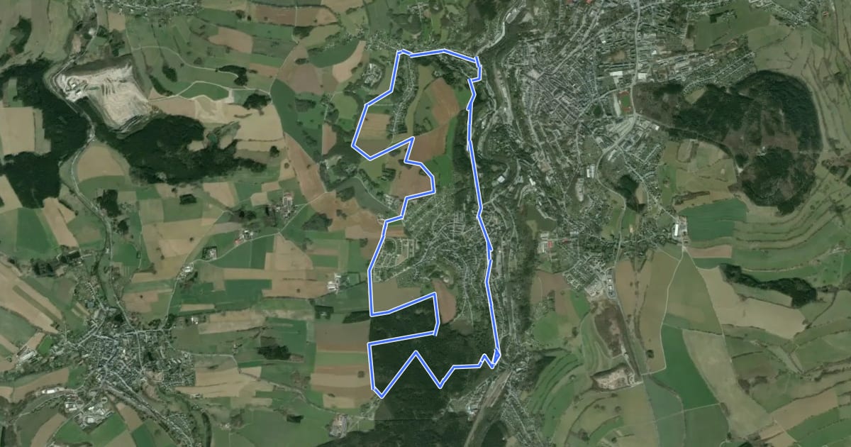 Маршрут Wanderweg Bergbaulehrpfad durch den Buchholzer Wald на спутниковом снимке