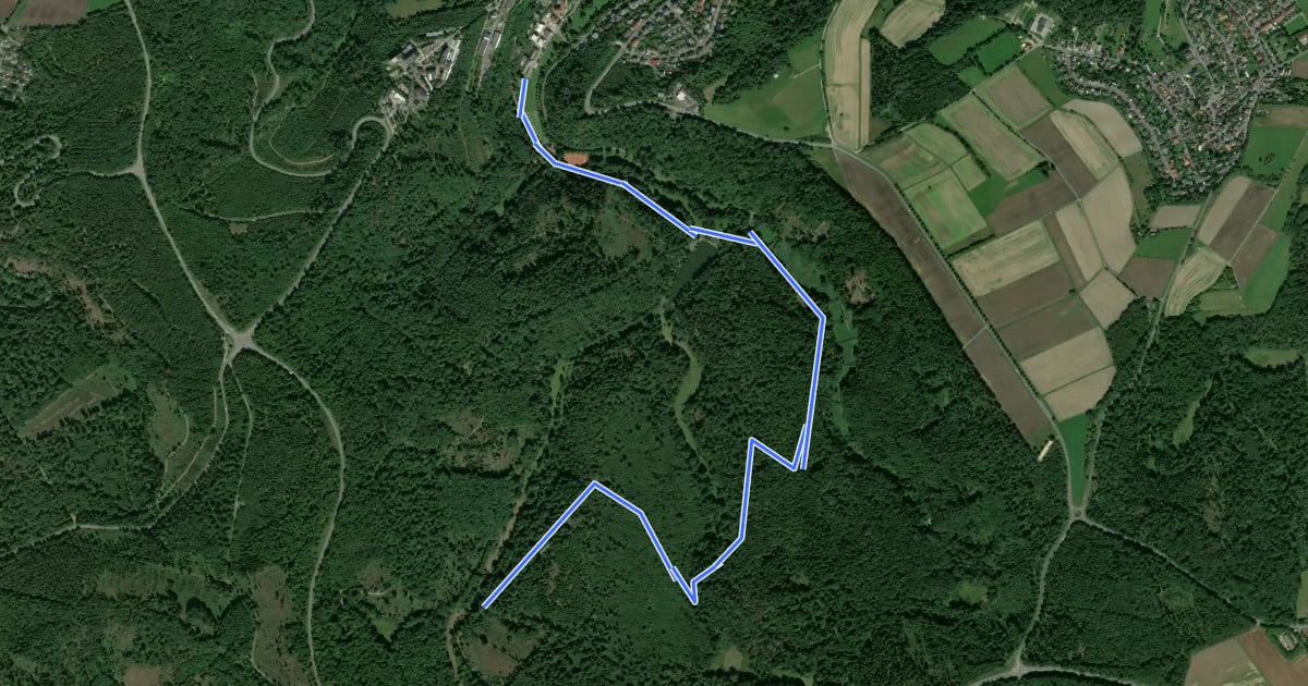 Маршрут Wanderweg Blauer Punkt на спутниковом снимке