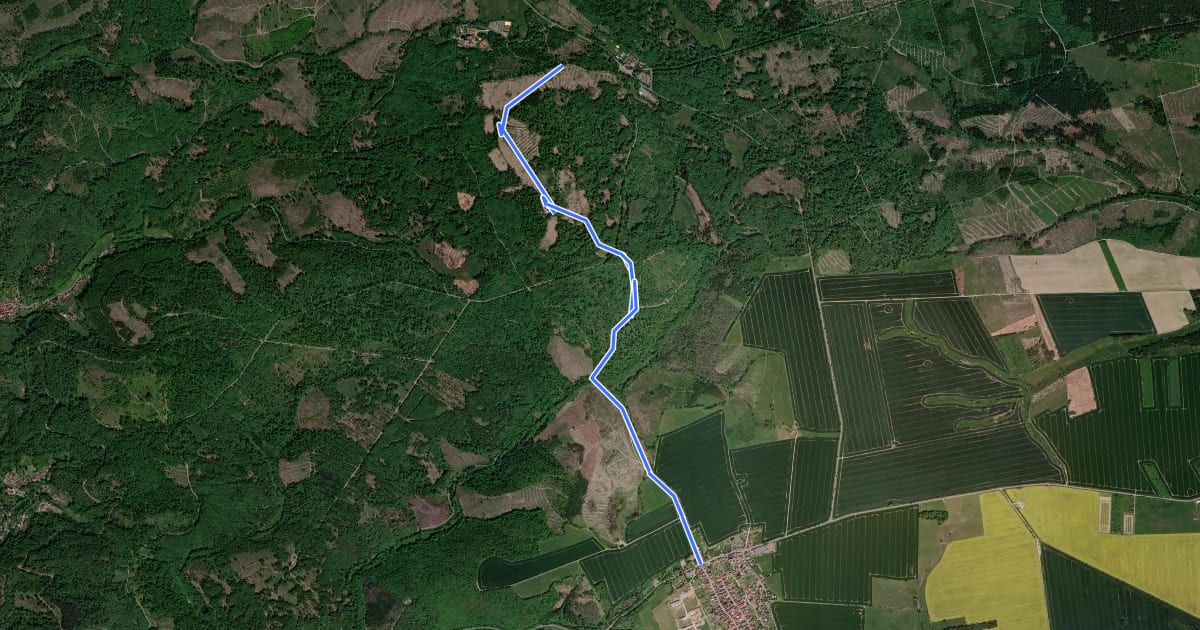 Маршрут Wanderweg "Blaues Kreuz" Schwenda- Auerberg на спутниковом снимке