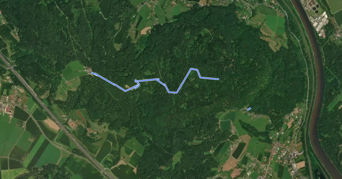 Маршрут Wanderweg Bockmoar - Buchkogel - Lebring на спутниковом снимке