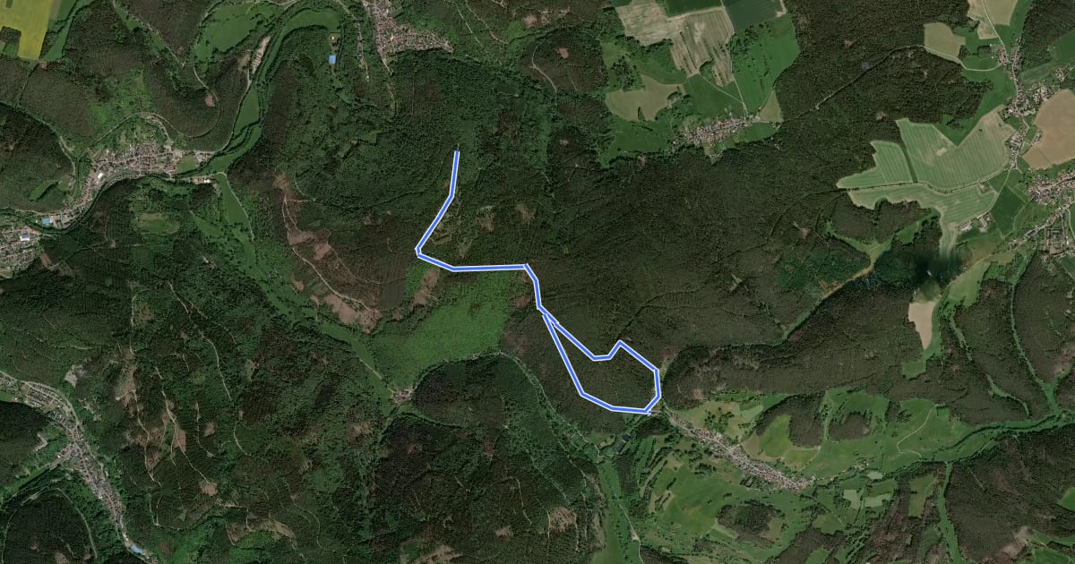 Маршрут Wanderweg Döschnitz на спутниковом снимке