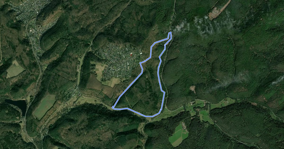 Маршрут Wanderweg Dansenberg 1 на спутниковом снимке