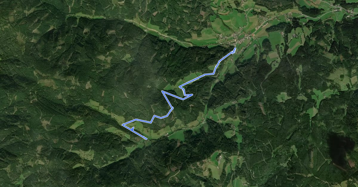 Маршрут Wanderweg Draisler Alm - Lenzbauer - Kapellenberg на спутниковом снимке