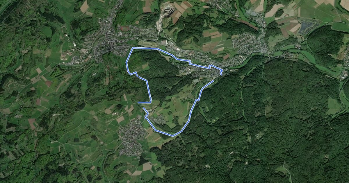 Маршрут Wanderweg E1 / Wiesengrund на спутниковом снимке