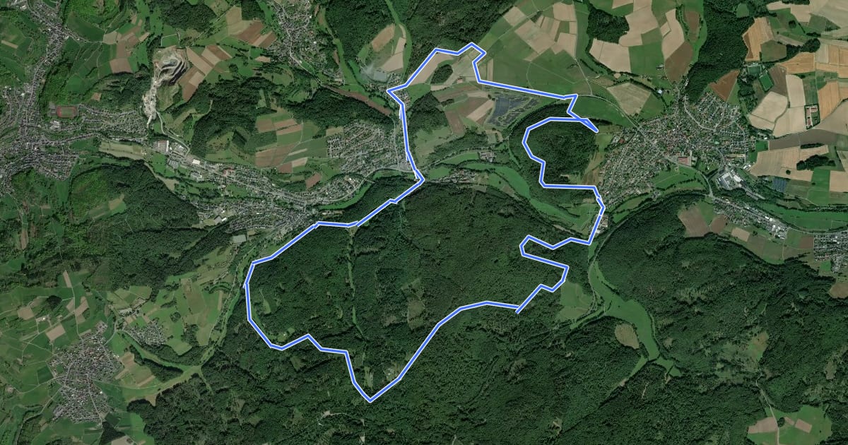 Маршрут Wanderweg E17 / Endbacher Platte на спутниковом снимке