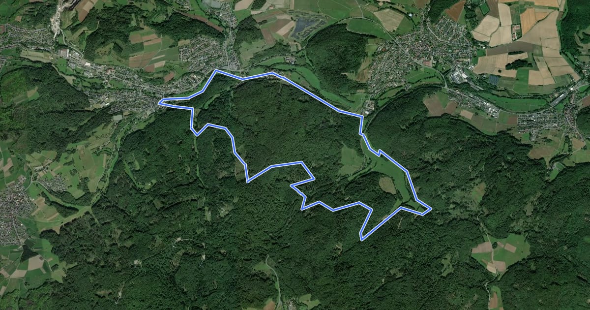 Маршрут Wanderweg E4 / Seibertshäuser Grund на спутниковом снимке