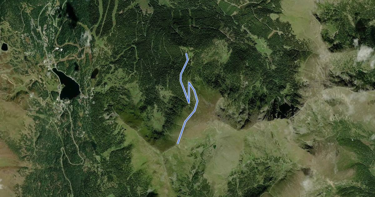 Маршрут Wanderweg Engeleriegel - Weitentalsattel на спутниковом снимке