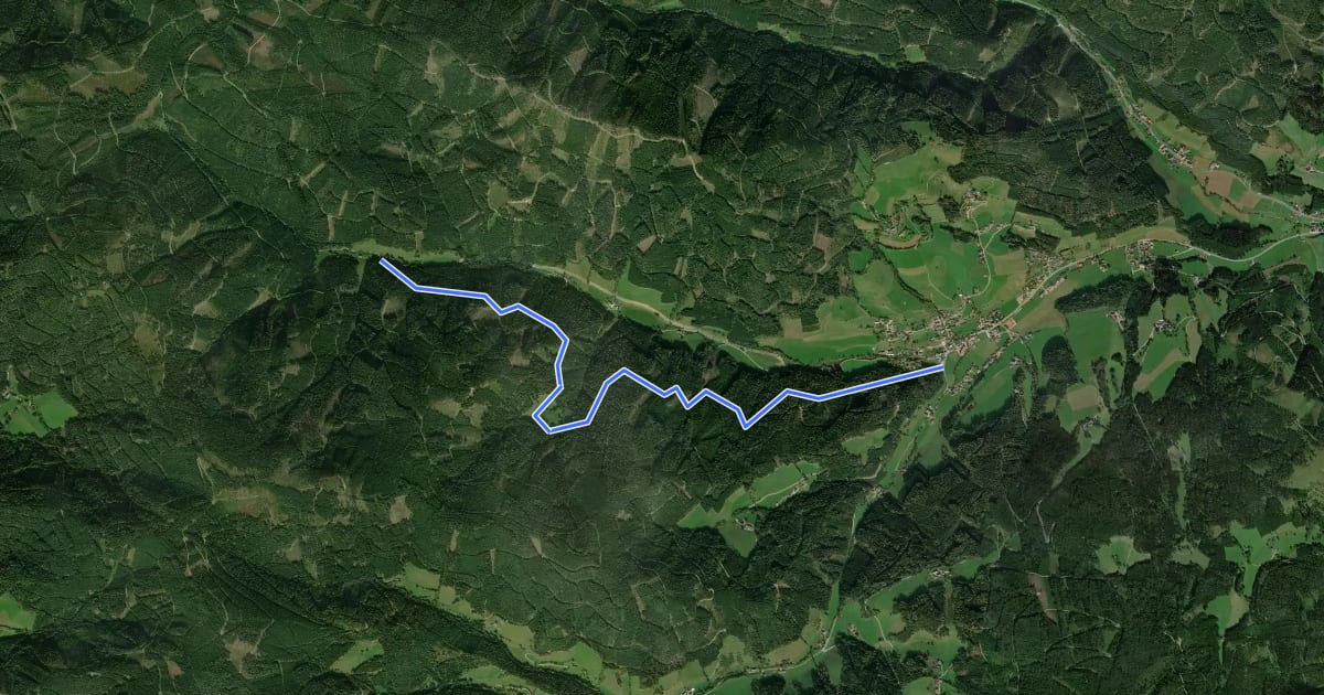 Маршрут Wanderweg Etmißl - Todt Alm на спутниковом снимке