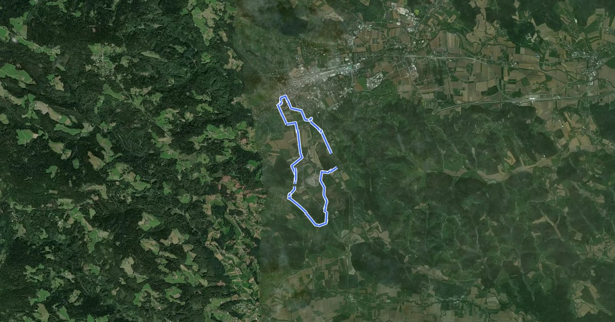 Маршрут Wanderweg F5 на спутниковом снимке