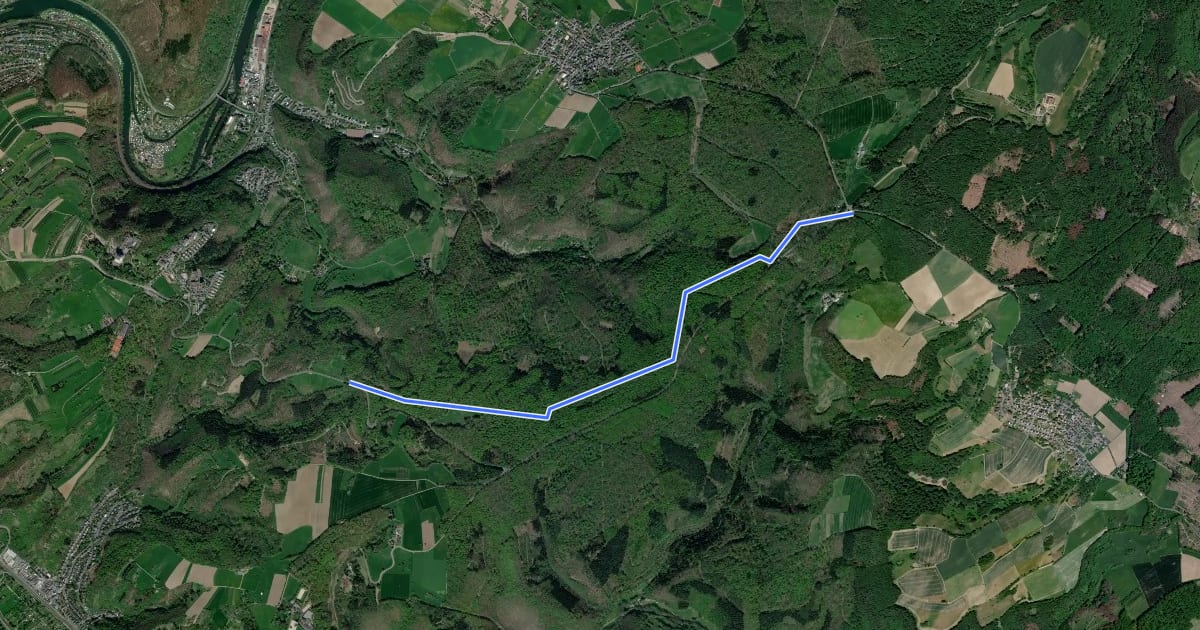 Маршрут Wanderweg Forsthaus-Weg FH на спутниковом снимке