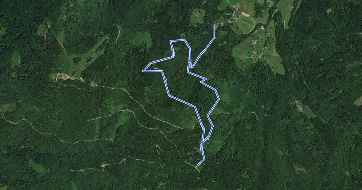Маршрут Wanderweg Franzl im Holz - Radmoos - Waldlehrpfad на спутниковом снимке