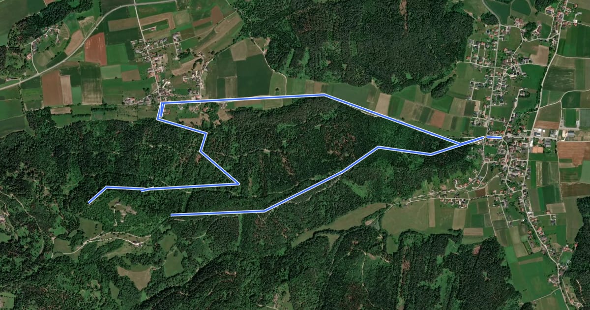 Маршрут Wanderweg G1 на спутниковом снимке