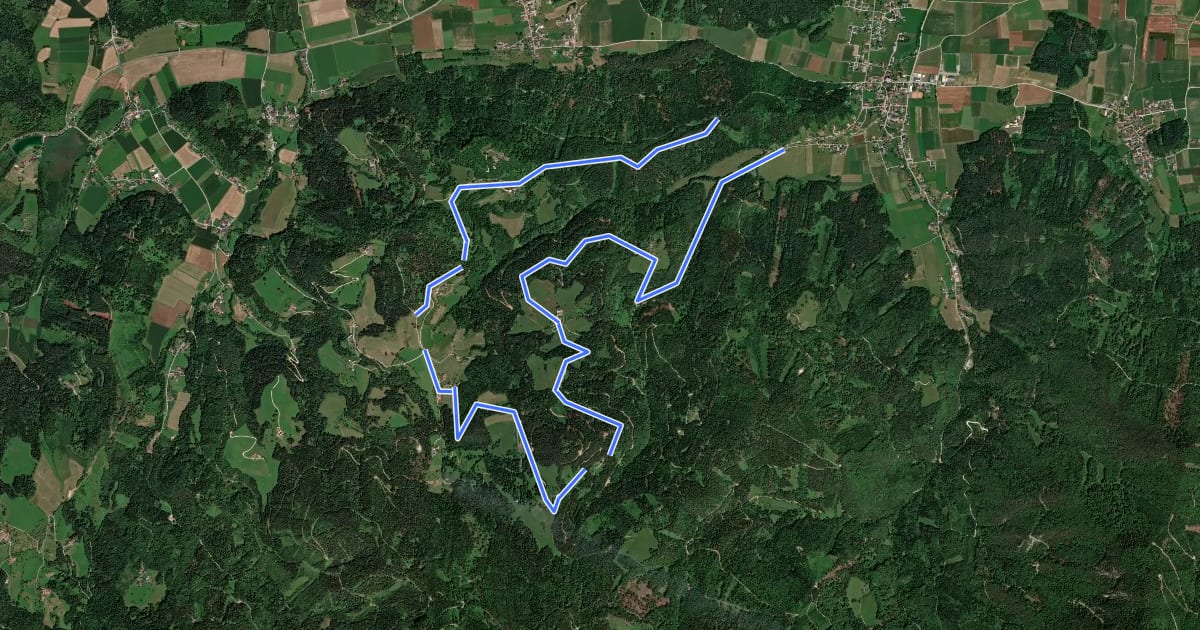 Маршрут Wanderweg G2 на спутниковом снимке