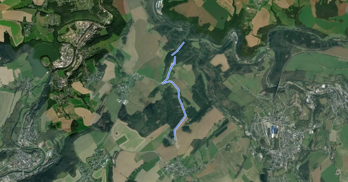 Маршрут Wanderweg gelber Balken Göltzschtal-Reuth-Sodeltal на спутниковом снимке