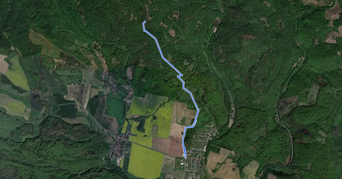 Маршрут Wanderweg "Gelber Strich" на спутниковом снимке