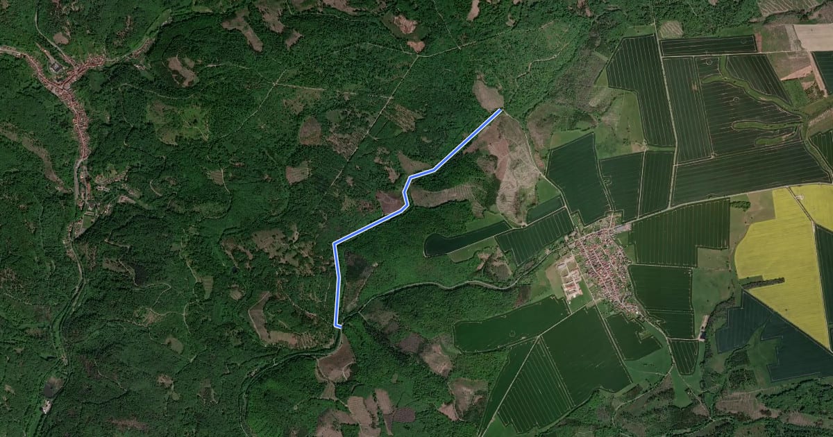 Маршрут Wanderweg "Gelber Strich" на спутниковом снимке