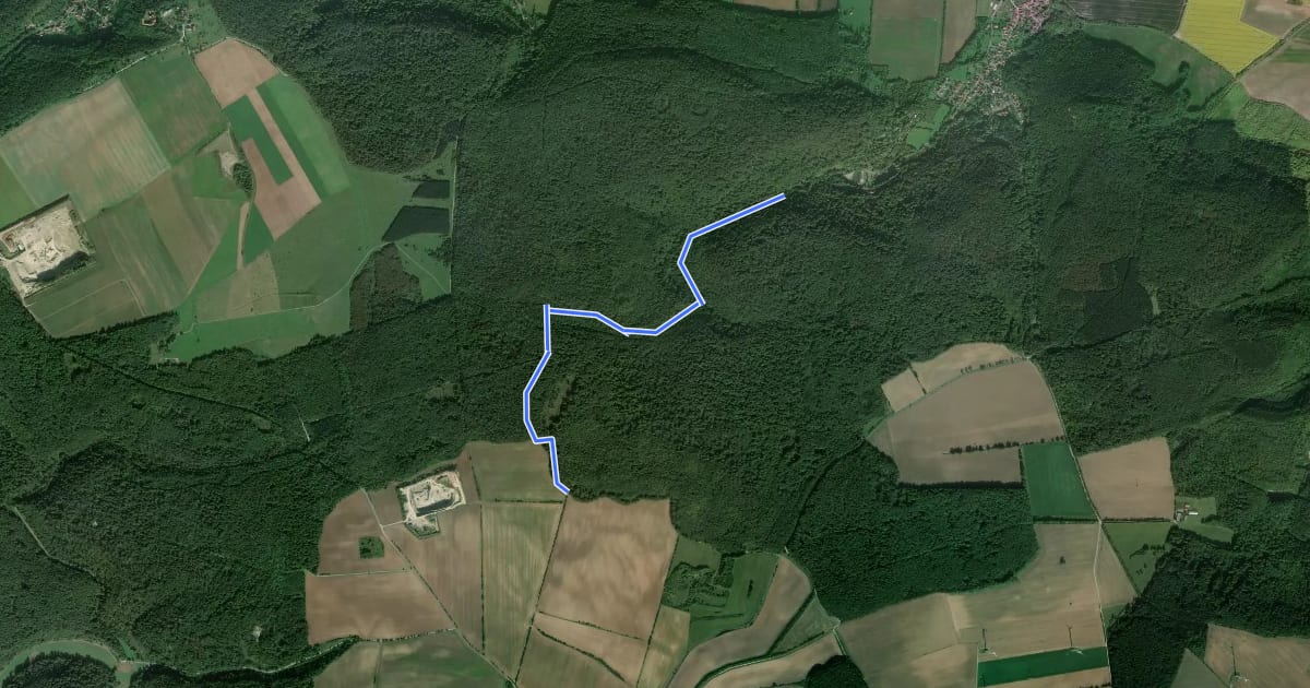 Маршрут Wanderweg Gelbes Dreieck на спутниковом снимке