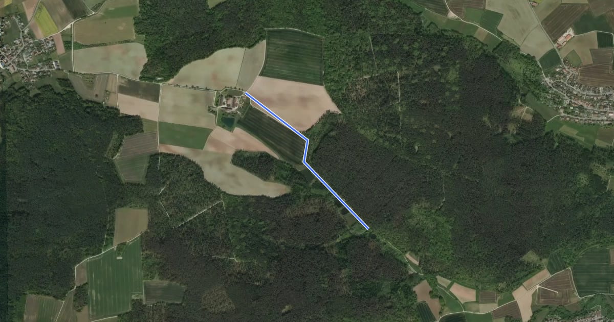 Маршрут Wanderweg Gelbes Kreuz на спутниковом снимке