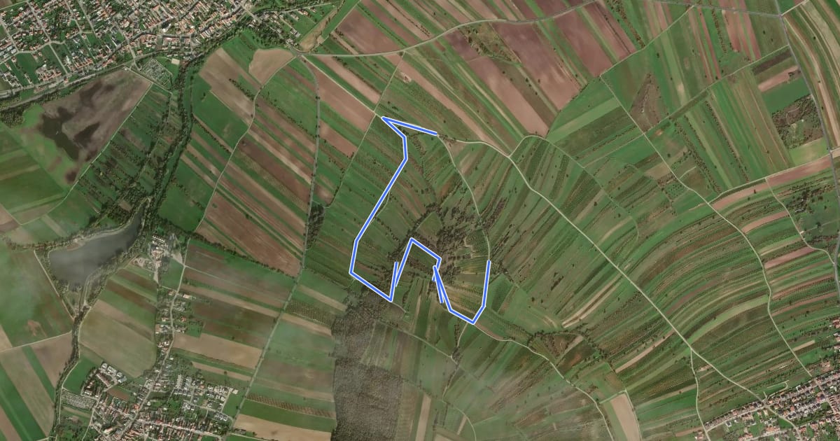 Маршрут Wanderweg Goldberg на спутниковом снимке