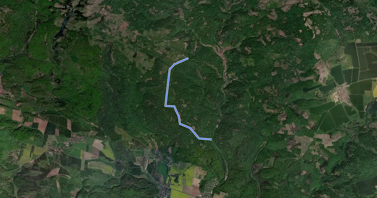 Маршрут Wanderweg "Grüner Punkt" zum Haus am Zoll на спутниковом снимке