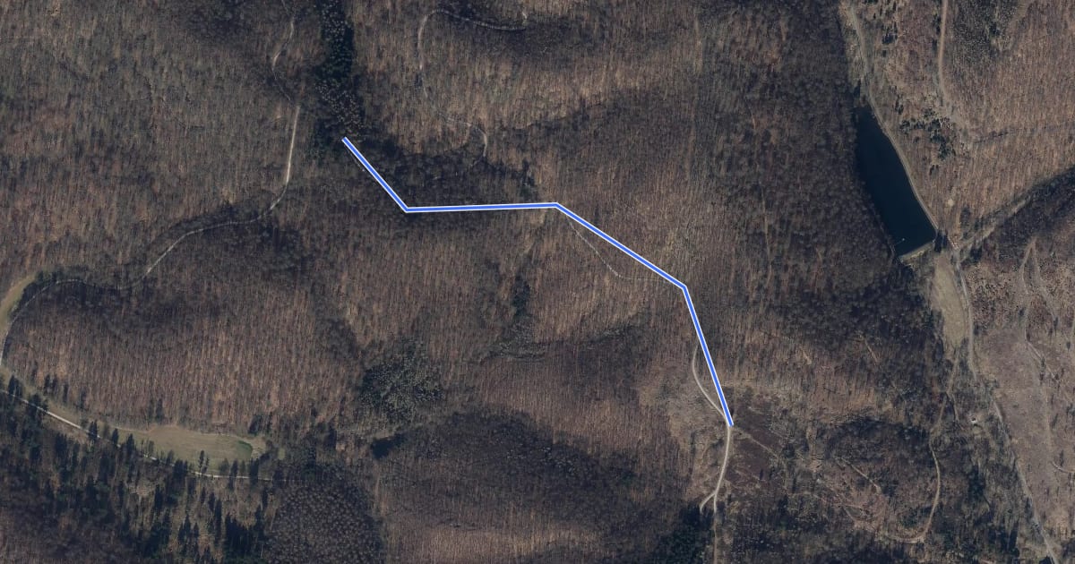 Маршрут Wanderweg Grünes Dreieck 12J на спутниковом снимке