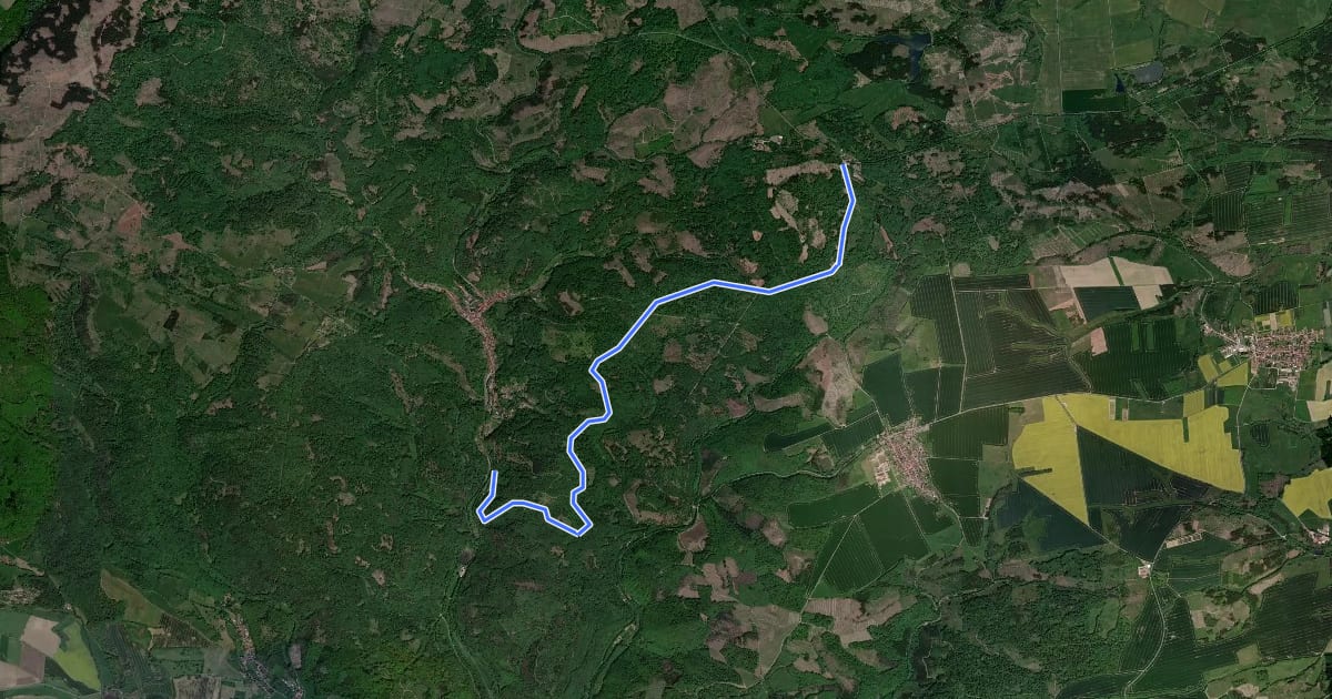 Маршрут Wanderweg "Grünes Dreieck" Holzchaussee на спутниковом снимке
