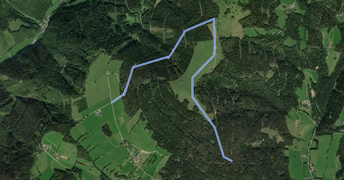 Маршрут Wanderweg Gschaid - Nock - Runde на спутниковом снимке