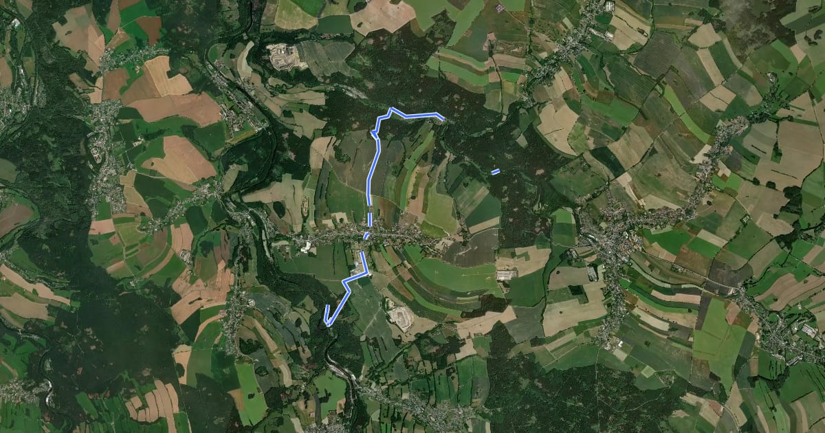 Маршрут Wanderweg Hammerleubsdorf-Priemsmühle im Flöhatal на спутниковом снимке