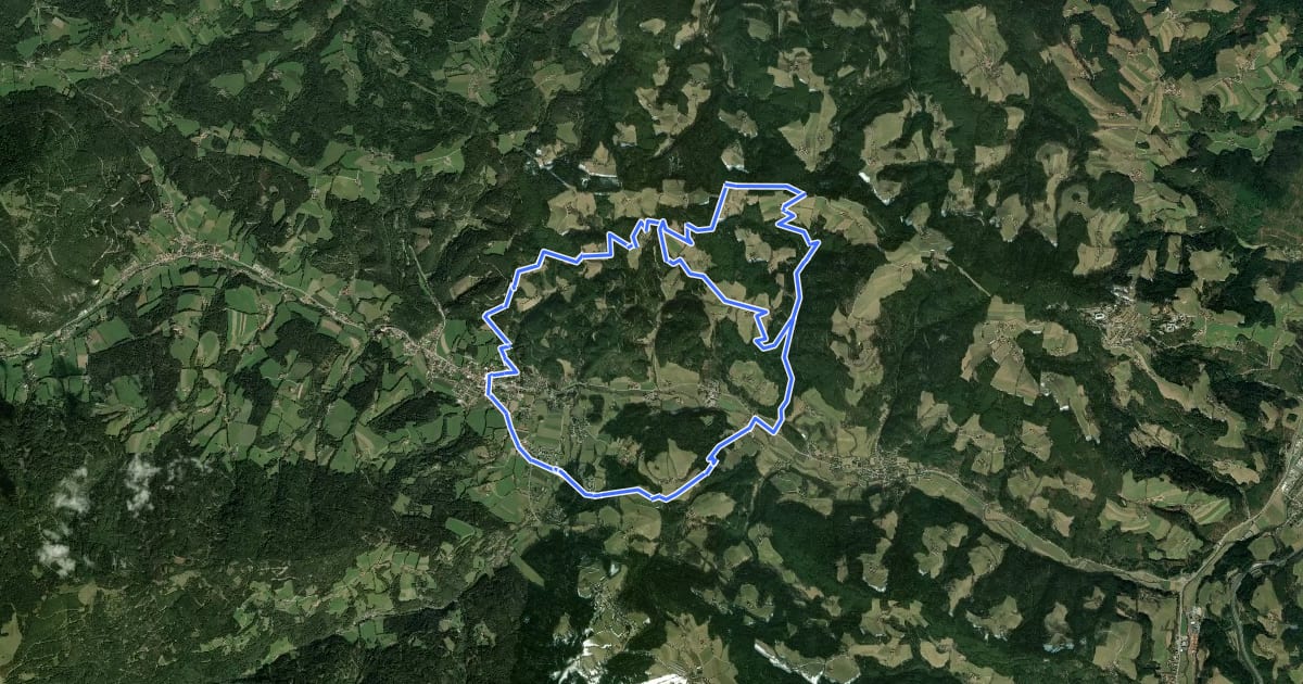 Маршрут Wanderweg Hasleiten на спутниковом снимке