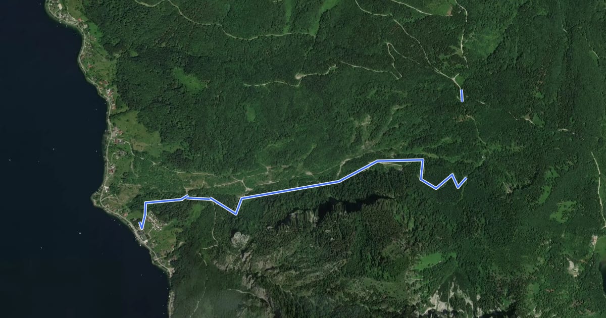 Маршрут Wanderweg Hoisn - Waldlehrpfad на спутниковом снимке