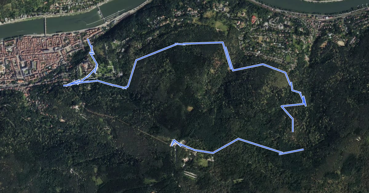Маршрут Wanderweg Königstuhl 9 nach Heidelberg на спутниковом снимке