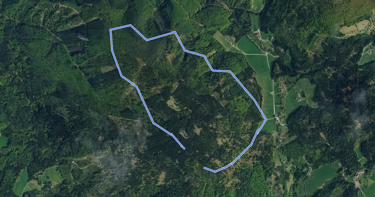 Маршрут Wanderweg Kleine Rannachrunde на спутниковом снимке