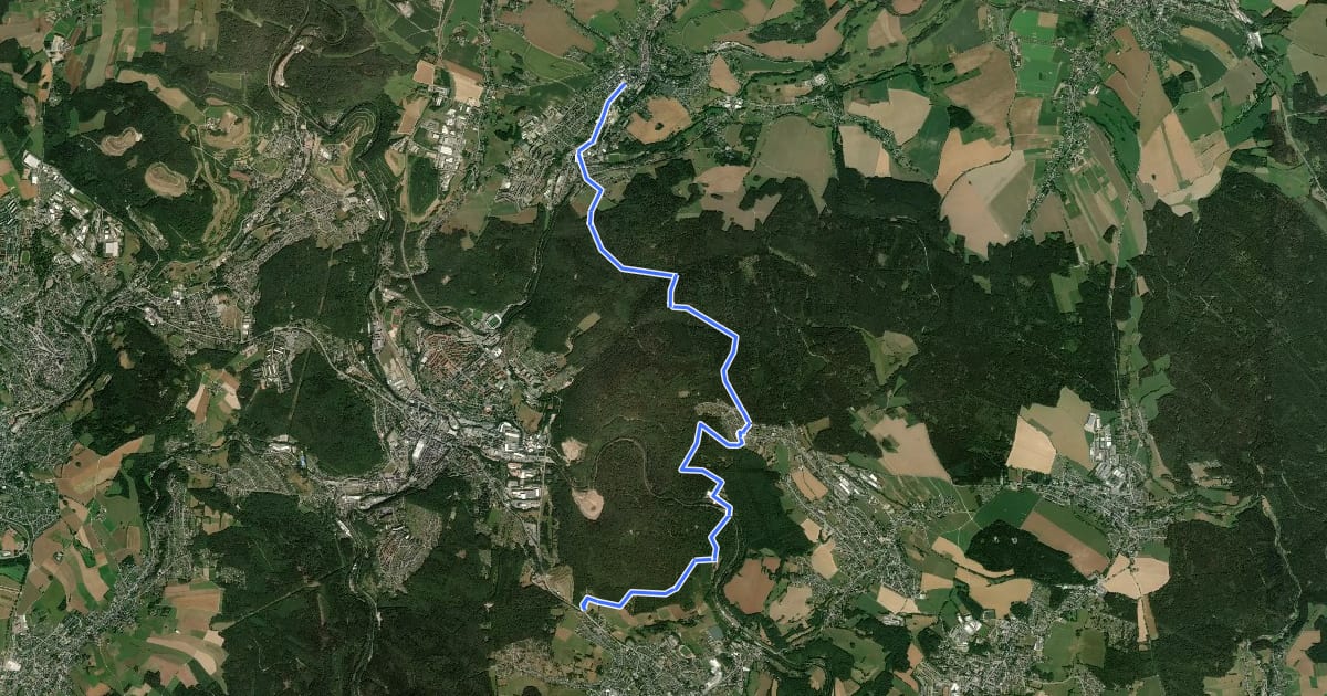 Маршрут Wanderweg Lößnitz - Lauter на спутниковом снимке