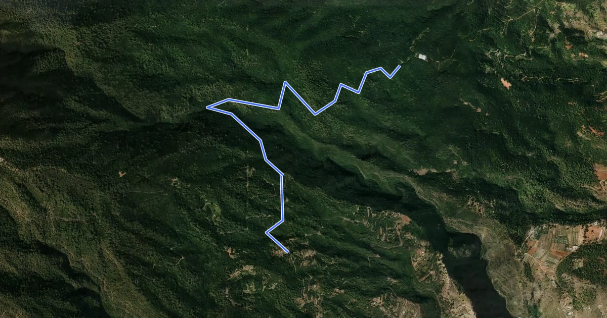 Маршрут Wanderweg LP 3.1 nach Wanderweg LP 4 на спутниковом снимке