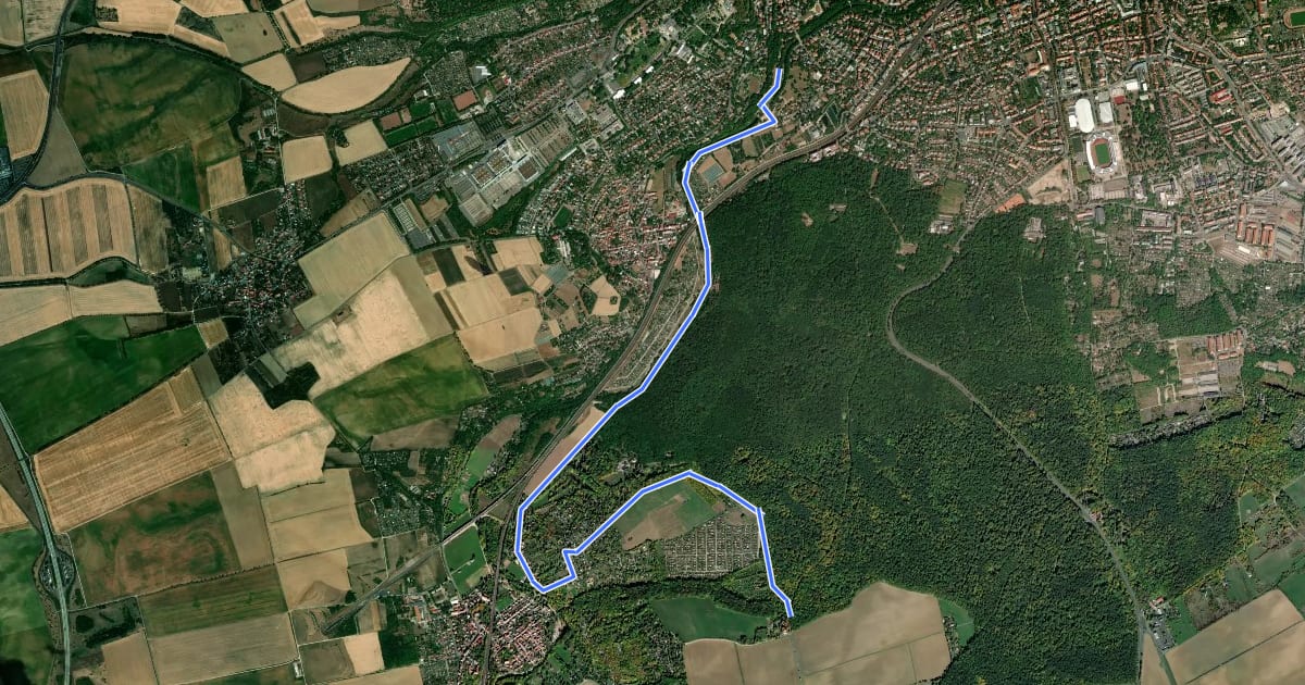 Маршрут Wanderweg Luisenpark - Waldhaus Rhoda на спутниковом снимке