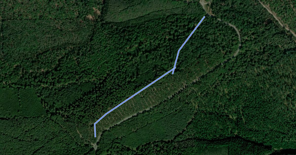 Маршрут Wanderweg Mölschbach 10 на спутниковом снимке
